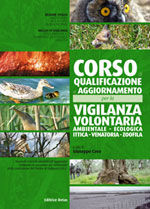 link a immagine ingrandita