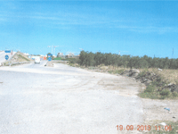 link a foto 5