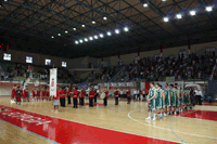 link a foto 1