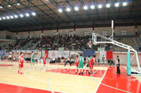 link a foto 12