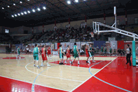 link a foto 5