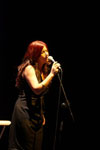 link a foto 1