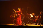 link a foto 16