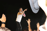 link a foto 12