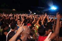link a foto 6