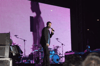 link a foto 7