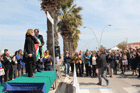 link a foto 36