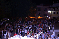 link a foto 11