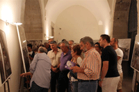 link a foto 31