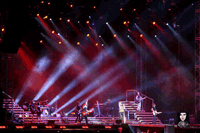 link a foto 11